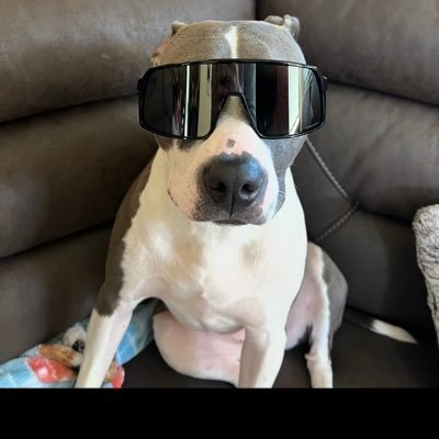 GuitronAdrian's profile picture. 