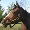 Anne Rousseau - @AnneeRousseau - Twitter