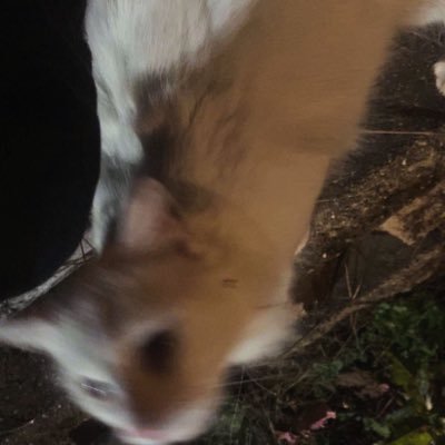 avv85157226's profile picture. 17