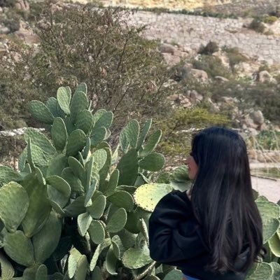 ghazalgaa's profile picture. 