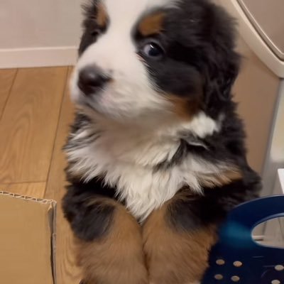 namachocotart's profile picture. 👒