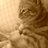 honey_82luv's profile image
