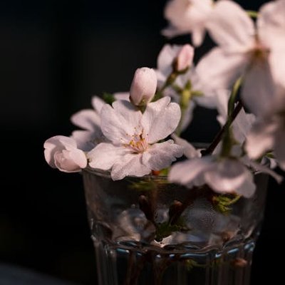 FrankMorga9243's profile image