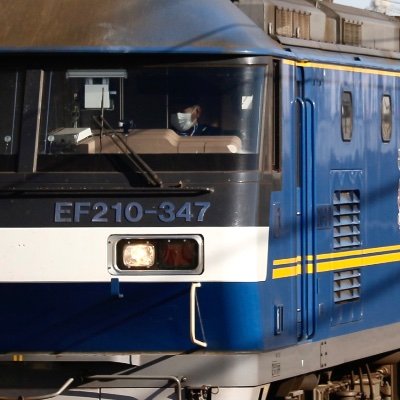 starship353's profile picture. 桃も良いゾ