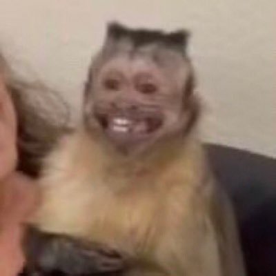 alericherdt's profile picture. https://t.co/au7YtEWNwk