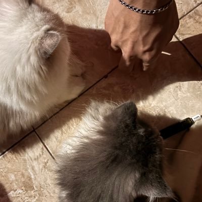 ml20934896's profile picture. 