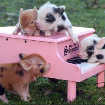 coloring_book's profile picture. 