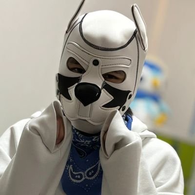 ZcI5Bh03vDkuE52's profile picture. 165/56/27s凸G ソラと言います。ゼンタイ、アモレシー、ユニ、コスプレ、ケモノ、着ぐるみ大好きなS気質なワンコです！可愛い愛犬→(@sildenafil_4545)パピーさん、ケモナーさん、ゼンタイフェチさんと仲良くなりたいー🐺(無言フォロー失礼しますー！！)🐾໊兄犬→@Retriever_mofu