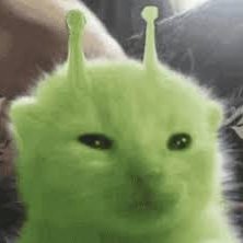 afkhimbo's profile picture. 30 he/him 🇨🇳🇯🇵🇵🇭
This account is NSFW and has shitposting🔞