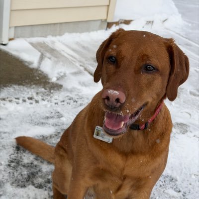 clareorham's profile picture. 