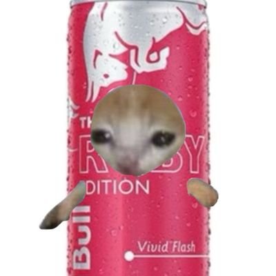 little_nerd_913's profile picture. @DatOneBrownFoo | Ti amo | Lil goofball | 💗

My account got sniped so this is my new one 🥲