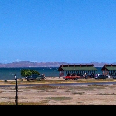 luisg_2's profile picture. 