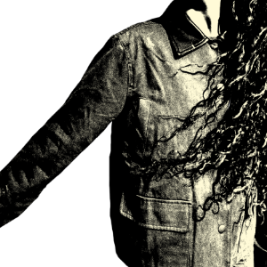 NESTSHY's profile picture. 