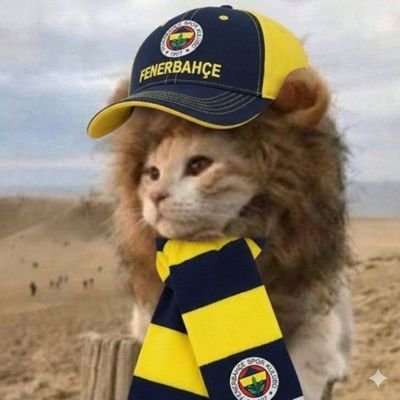 sonedincavani's profile picture. Haklı adamla tartışmam.