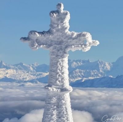 partition039's profile picture. 