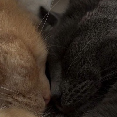 _muugeee's profile picture. 