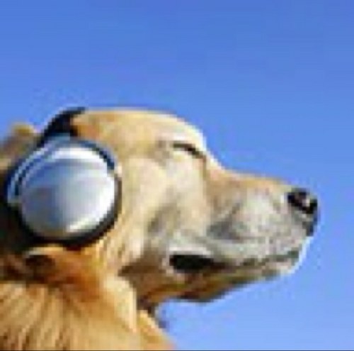 shnish23's profile picture. 