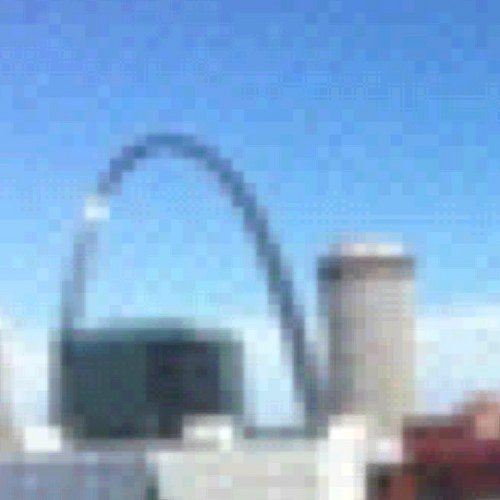 dizzledaver's profile picture. 