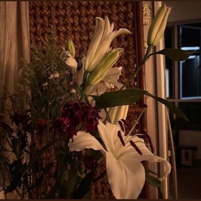 2_ntr1's profile picture. -