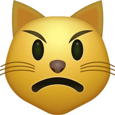 madcatio's profile picture. I trade cryptos and I like memes, The game keeps changing, i try to keep making money