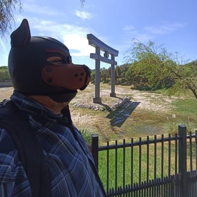 ElRolizxp's profile picture. furro:v ,bisexual Gamer , oso 🐻 medio madurito, activo alv , +18 , me gusta de todo
https://t.co/0Eb1OPQjWs