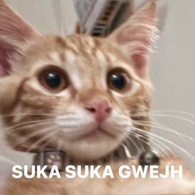 monomania_id's profile picture. 🎌GROUP ORDER PROXY SERVICE SINCE 2015
💰EST HARGA SUDAH BERSIH INA!
💳DP 50%!
🛍️PELUNASAN IJO/OREN OK!
#POMonoNonWeb
☎️CONTACT US: https://t.co/fe8HY5yFoA