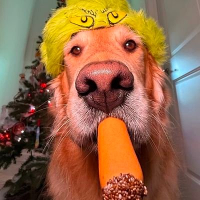 XRPHolder4's profile picture. Universal Truth Is NOT measeured In mass appeal.