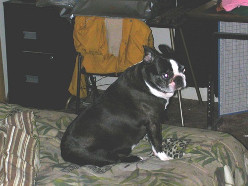 stubbers08's profile picture. 