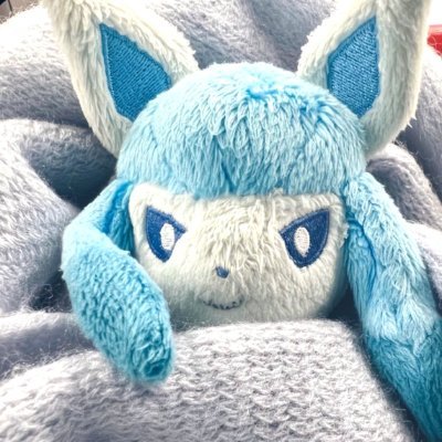 saphireichor's profile picture. 