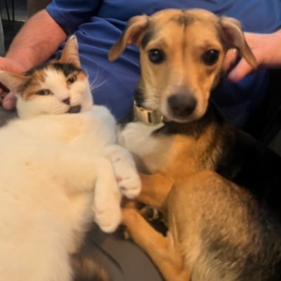 christy_gr4691's profile picture. Mother first, wife second, and absolutely a VFL! 🌊 all the way!