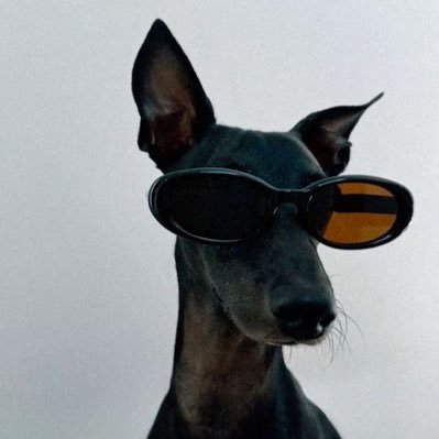 bulibulizz's profile picture. 여자라면... #Martin