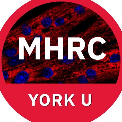 MHRC_YorkU's profile picture. The Muscle Health Research Centre  provides integrated & focused research in muscle metabolism and function. https://t.co/rA5IXR1lbq
