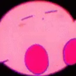 kabinsei_kabi's profile picture. ゆきリス🐵🥝︎ ︎ ︎配信視聴中の寝落ちを無くしたいです