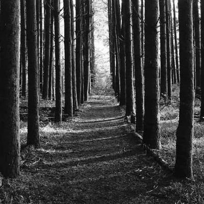 az__GZ5nKT's profile picture. I’m all about spiritual growth, knowledge, and inner wealth,these are the foundations I’m building my life on. I’m really proud to be part of the community