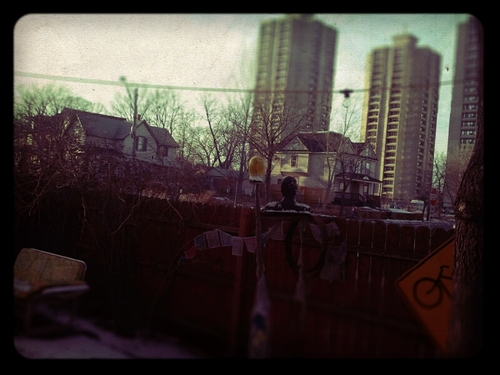 blaisdellblazin's profile picture. 