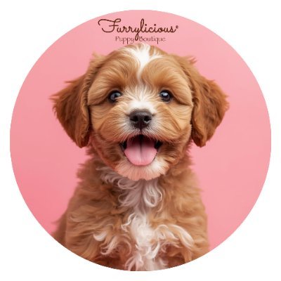 FurryliciousNJ's profile picture. At Furrylicious® we promise a puppy experience like no other. Visit us today, we might just have your FUR-ever friend!