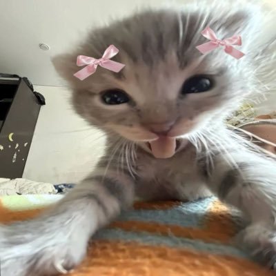 deepeyesbaby's profile picture. aqui eu vivo no meu mundinho nerd e afins @thenbhd