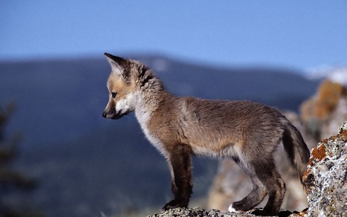 sergejzutto's profile picture. 