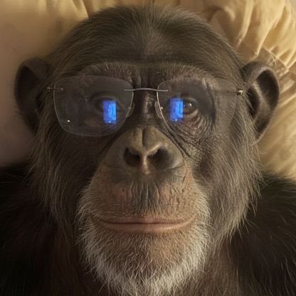 TomSabot's profile picture. We don't agree and that's ok