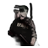 rpdscop's profile image