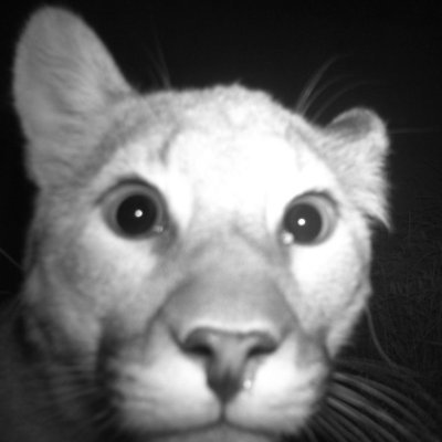 lifetype's profile picture. 