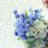 hs0knf's profile image