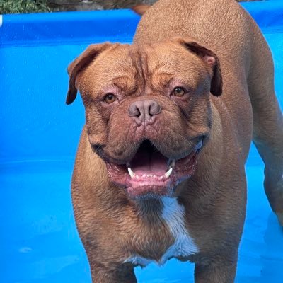 Davey5008A's profile picture. 