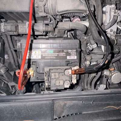 bugsbunnydijo's profile picture. okay okay - are we live now?