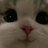 Chanddinngg's profile image