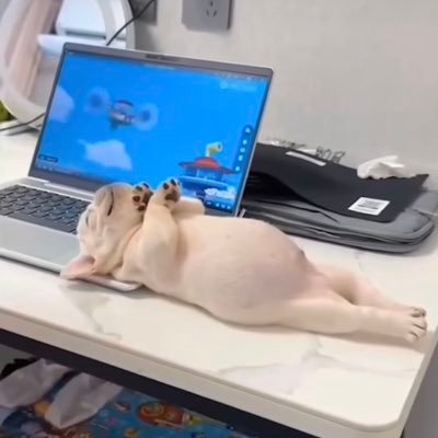 sisisi_N0's profile picture. 먼저 팔로우 해주시거나 흔적 남겨주시면 바로 팔로우걸게요!!!