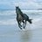 HorseCumHose's profile image