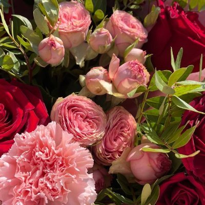 frylfryl412566's profile picture. Interested in awareness, gratitude 🧘💞 life energy 🩵🍀 reading books 📚📖 and cryptocurrencies 📊💰