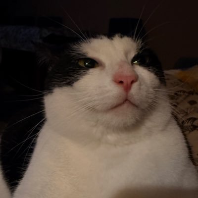 olson_oslo's profile image