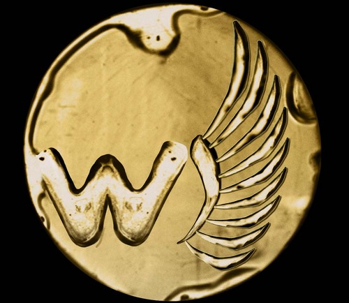 WorthTheHurt's profile picture. Worth The Hurt is the story of Athletes all over the world fueled by a love of endurance sports, and causes and events that are #worththehurt.